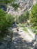 DSCN0695_k